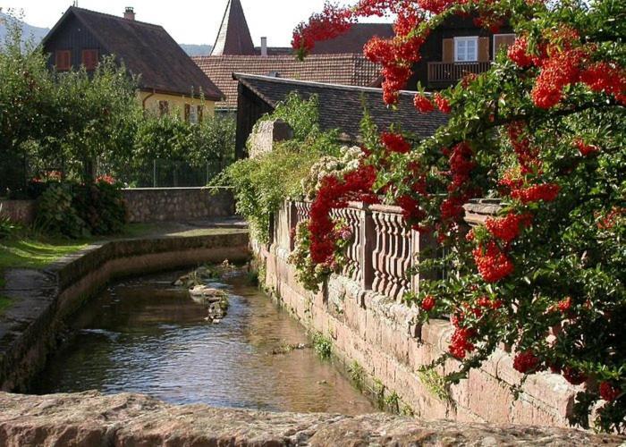 Gite Chez "Mamie Schlop" Kientzheim Ruang foto